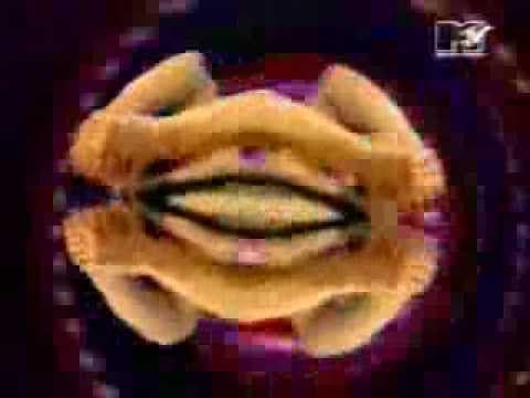 Take A Free Fall (12" Mix)