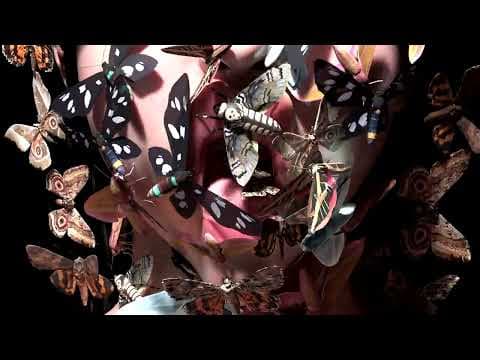 ANGEL CRISIS