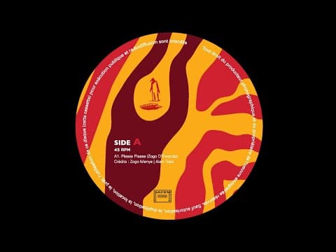 Please Please (Bellaire Remix)