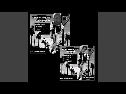 Wayne County Hill Cop's (Omar S Mix)