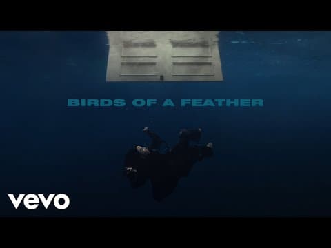 BIRDS OF A FEATHER (Official Lyric Video)