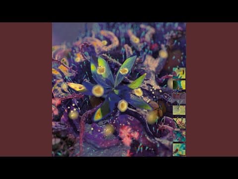 Cave Moss (Space Drums Meditation Remix)