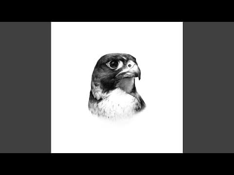 Biscotti (Original Mix)