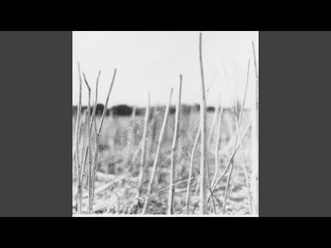 Petrichor (Tin Man Remix)