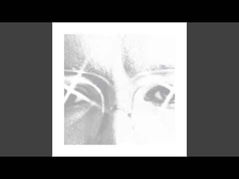 Synthesist