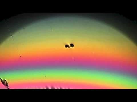 Sunset (Kim Ann Foxman Remix)