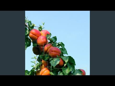 Object Recognition