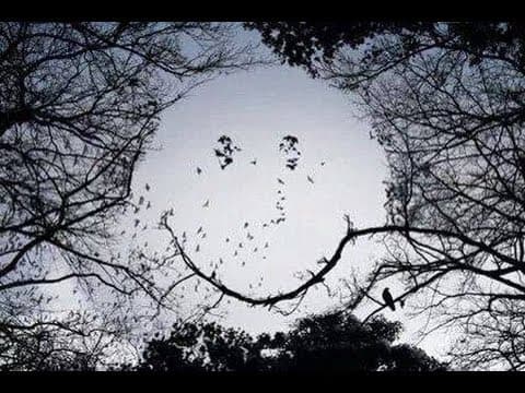 New Friends (Acid 1996)