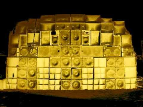 The Bees 303s