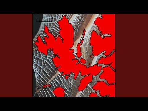 Fauna
