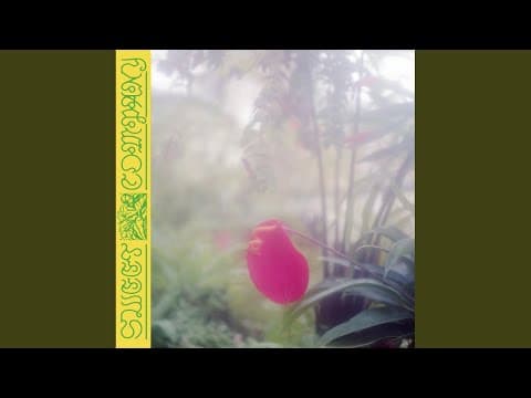 Blood Pink (Original Mix)